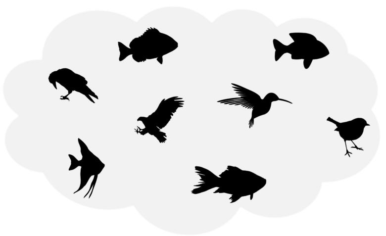 birds and fish