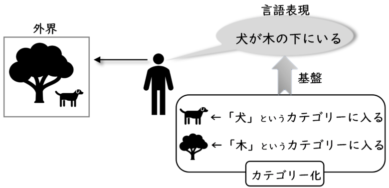 カテゴリー化