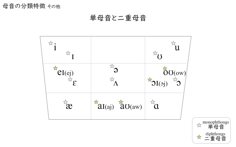 音声学 英語の母音の種類 分類 Ipaチャートをわかりやすく解説 英文法のスパイス