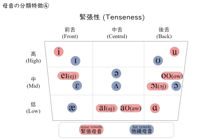 母音性