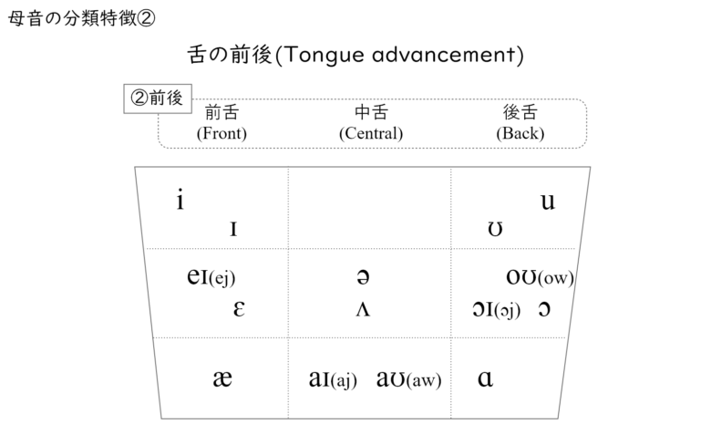 母音を分類するための基準の1つは舌の前後位置である
