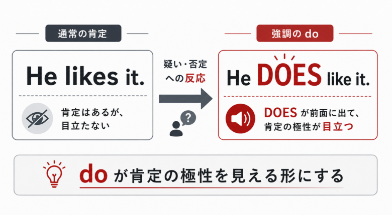 強調のdoが肯定の極性を目立たせることを示す図