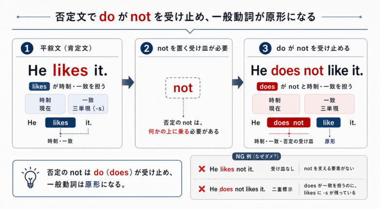 否定文でdoがnotを受け止め、一般動詞が原形になる図