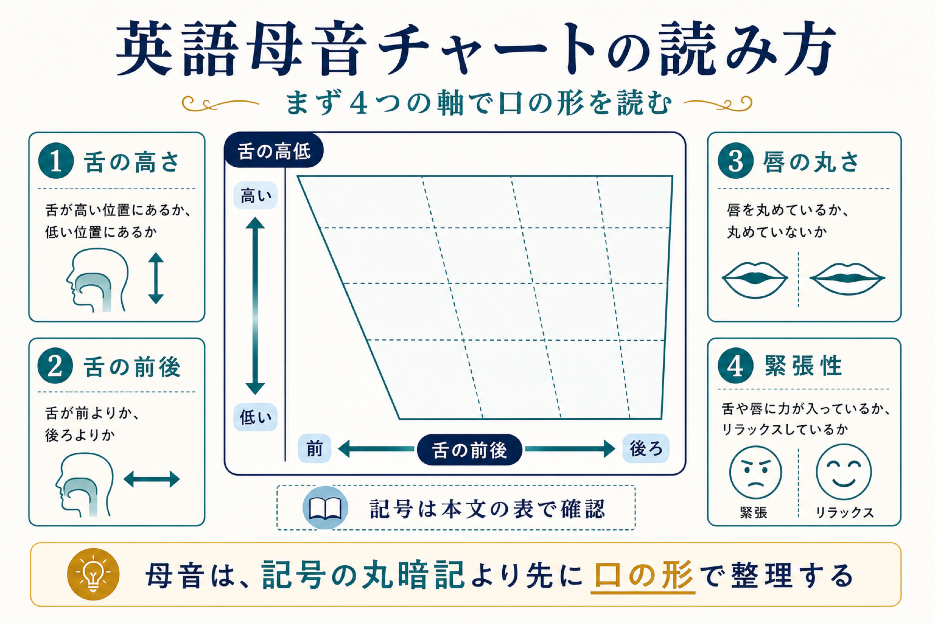 音声学】英語の母音の種類/分類、IPAチャートをわかりやすく解説