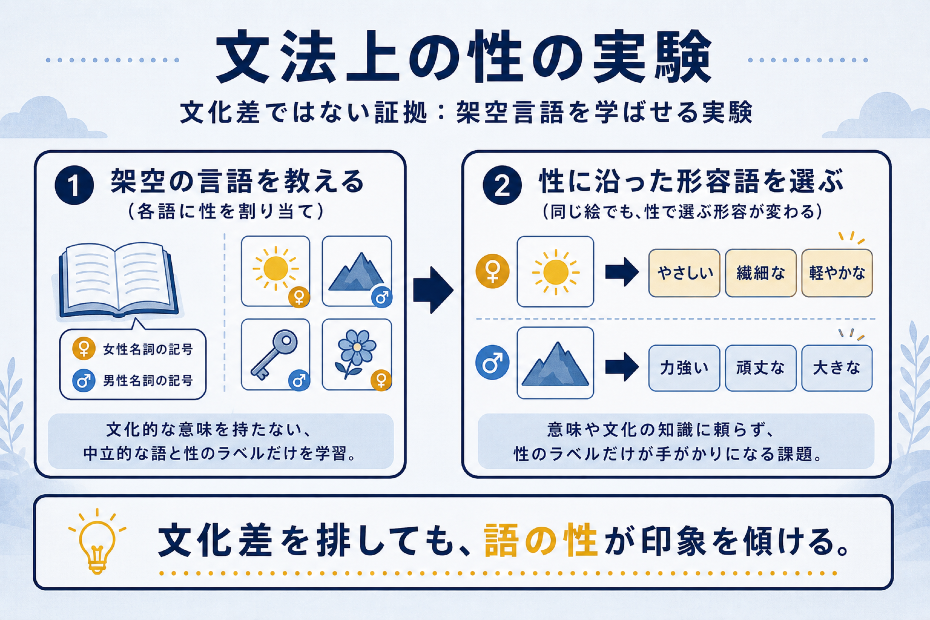 名詞の「性」でモノの印象が変わる？の本文図解。架空言語実験の流れを説明する画像