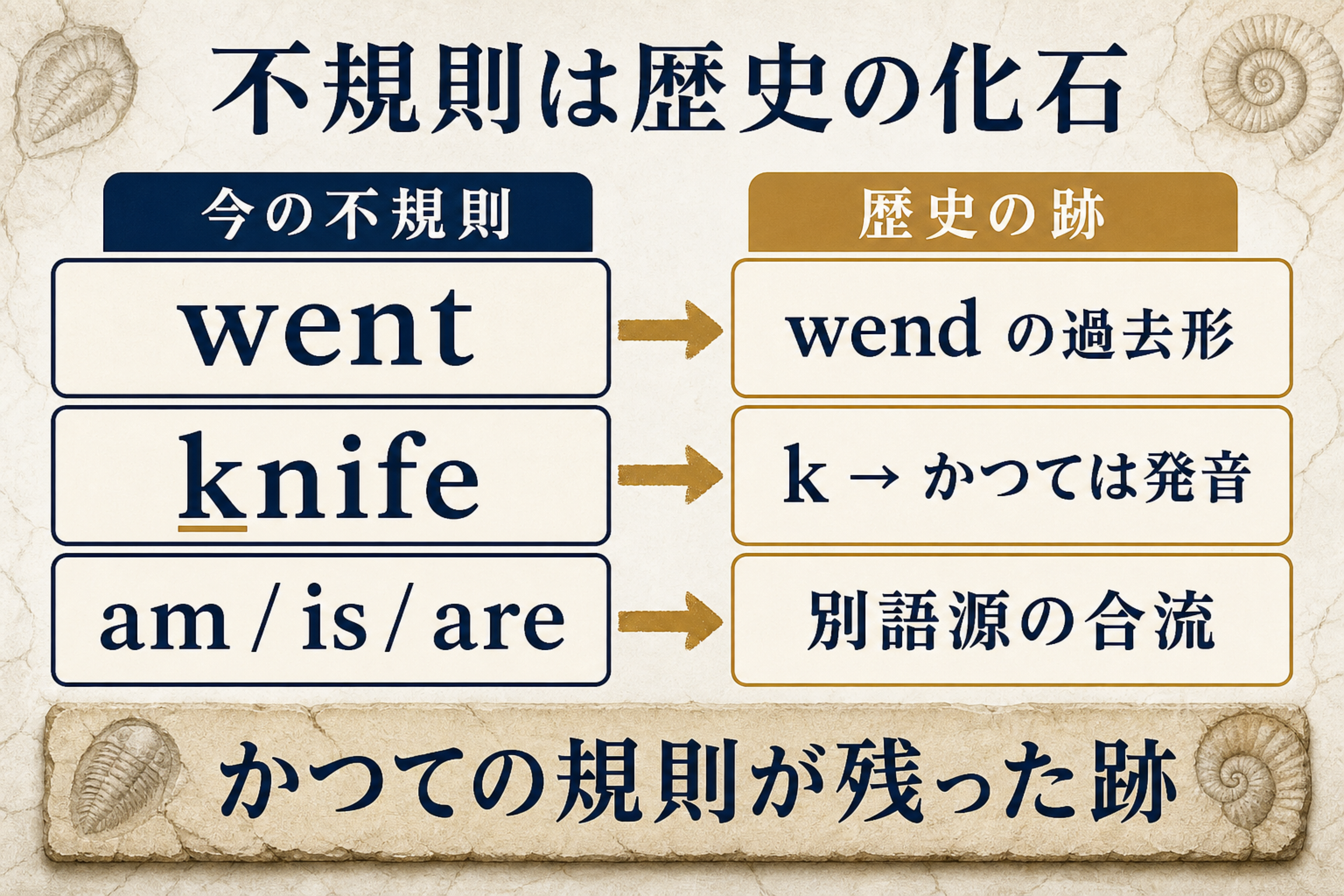 went・be動詞・knifeの黙字といった今の不規則が、それぞれ歴史のどんな経緯の跡なのかを左右で対応させた図