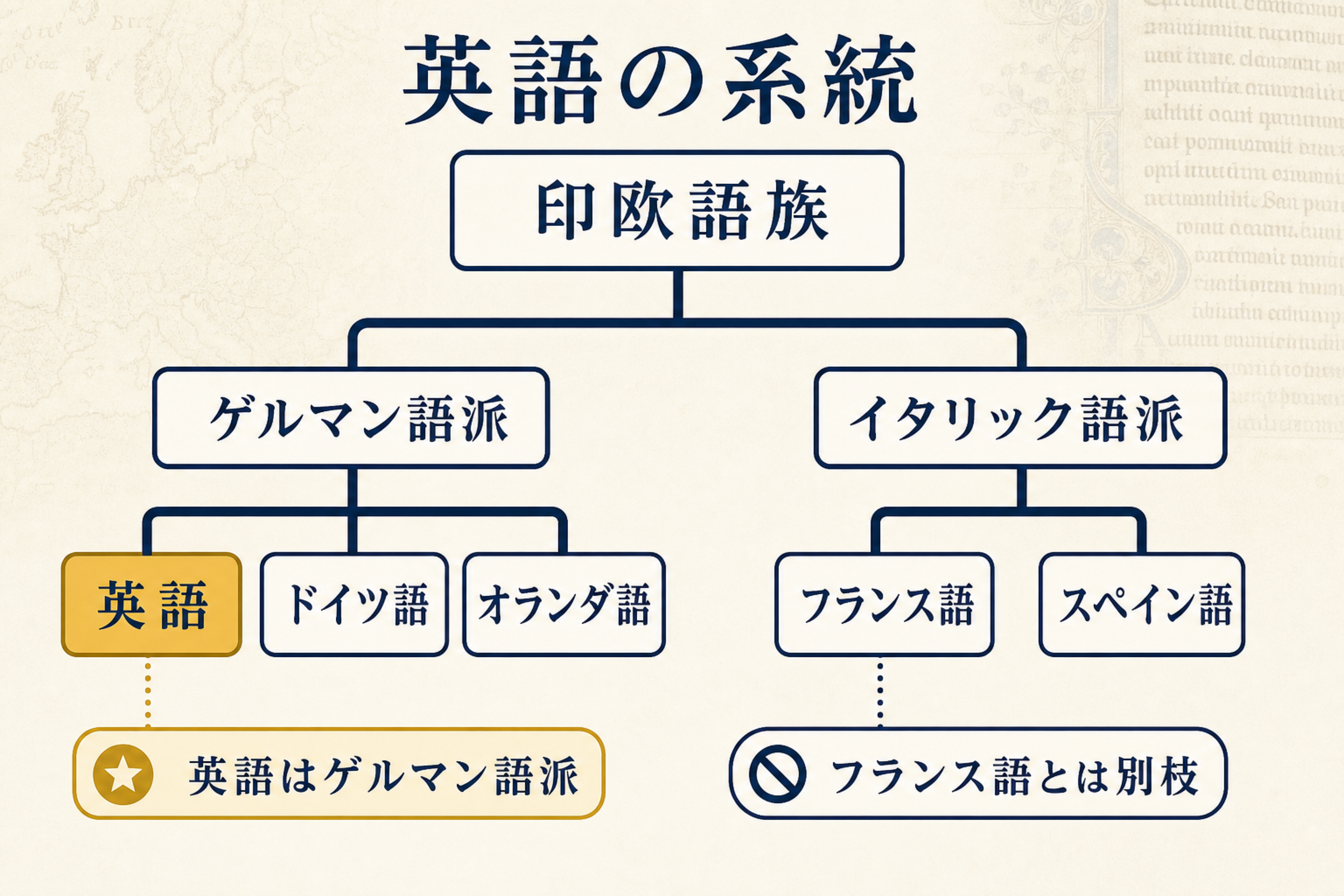 英語が印欧語族のゲルマン語派に属し、ドイツ語やオランダ語と同じ枝から分かれたことを示す系統樹