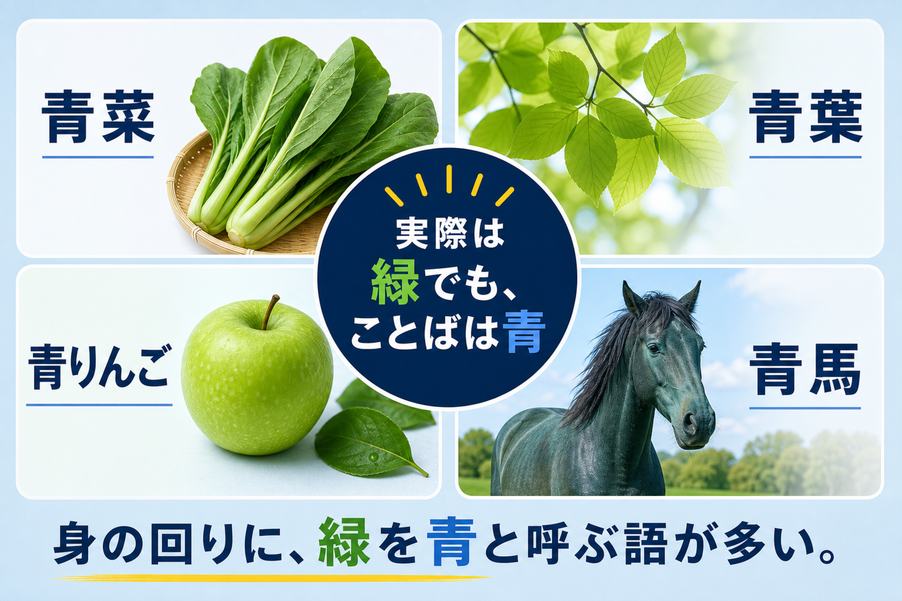 日本語の青と緑の理解を助ける本文図解。青菜・青竹など生活語に残る青の範囲を示す