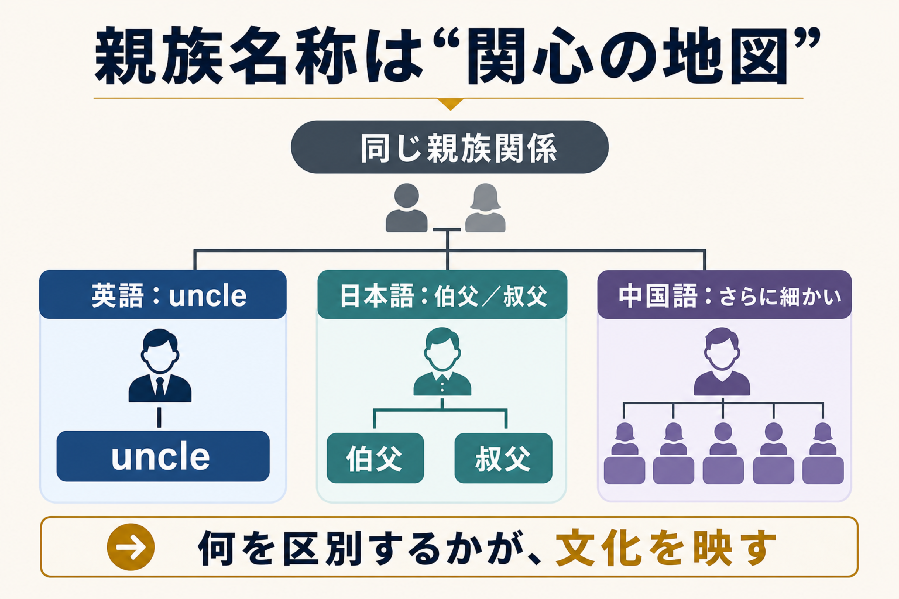 uncle と伯父・叔父の理解を助ける本文図解。親族名称が文化の関心を映すことを整理する