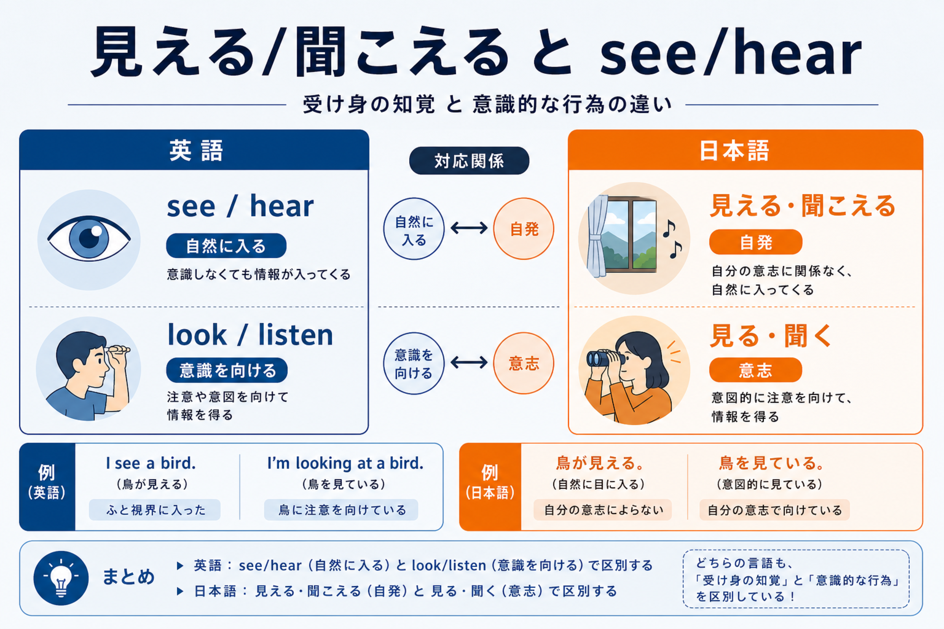 日本語の見える見ると英語のsee lookの対応を示す図