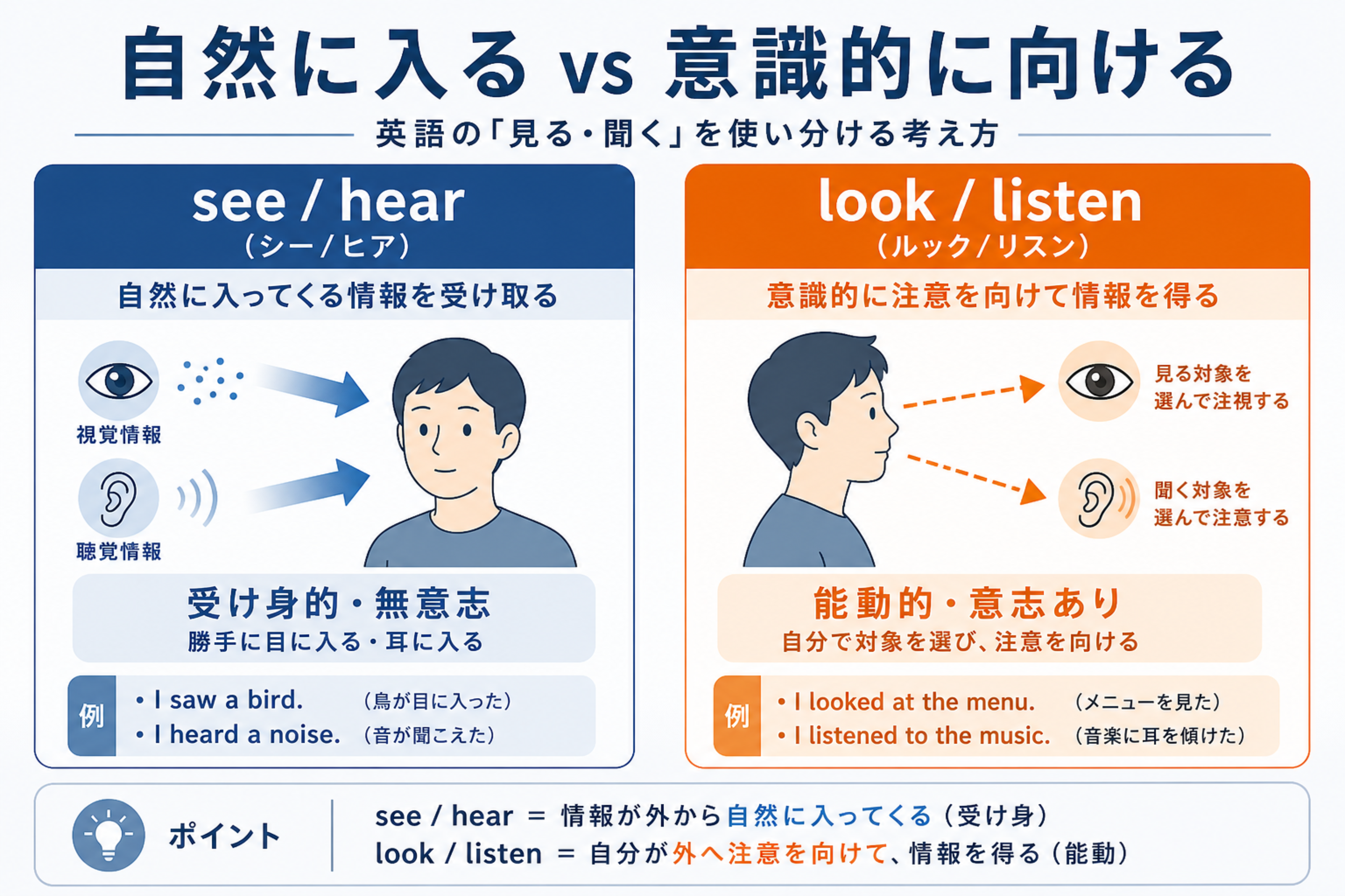 自然に入る知覚と意識的に向ける知覚を対比する意志性の軸の図
