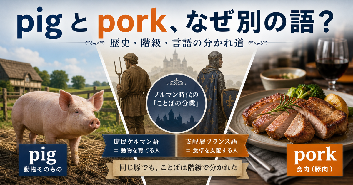 【なぜ】pigとporkで語が違う理由を英語史で解説を示すサムネイル