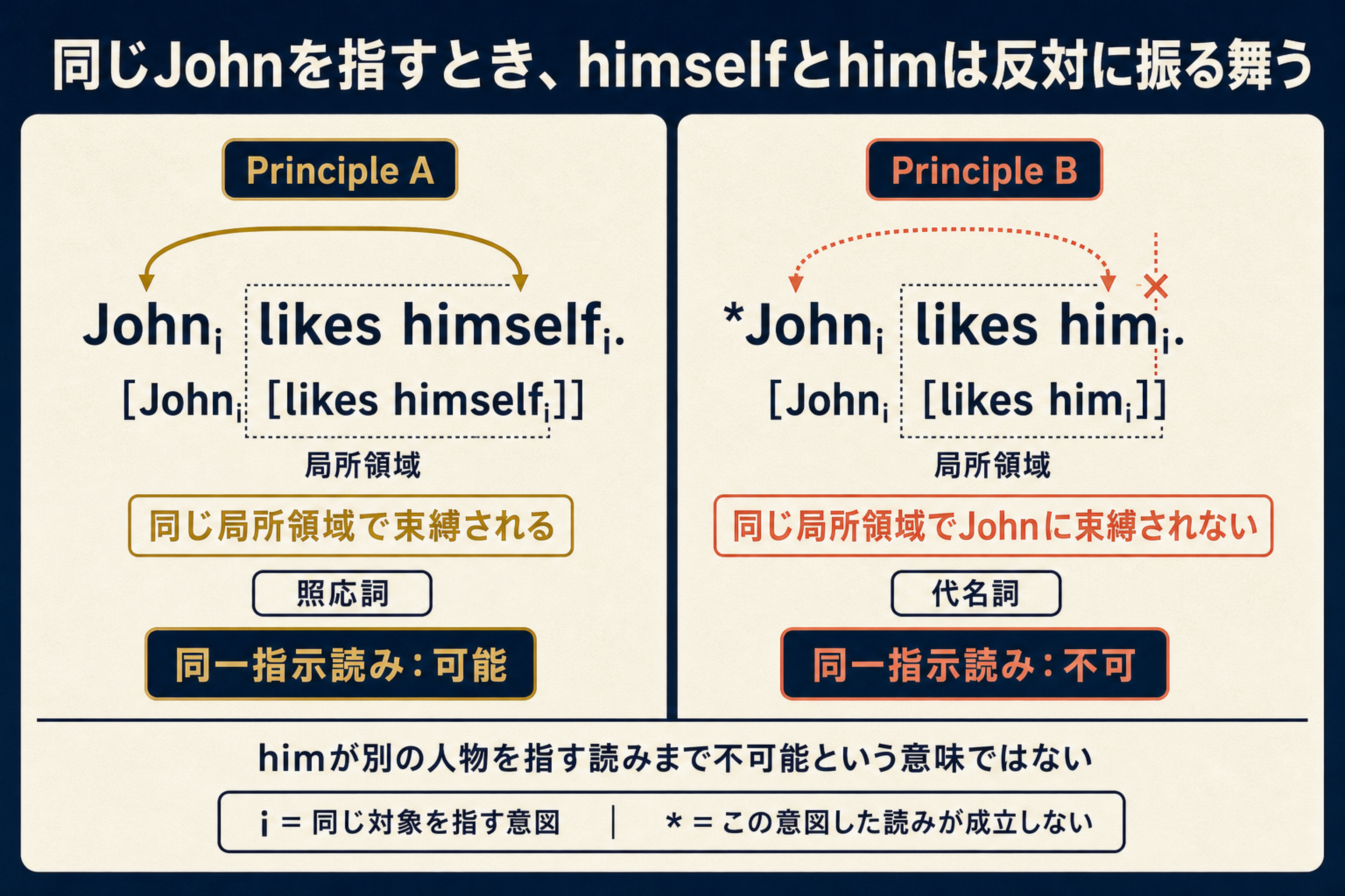 John likes himselfとJohn likes himの同一指示読みを比較する図