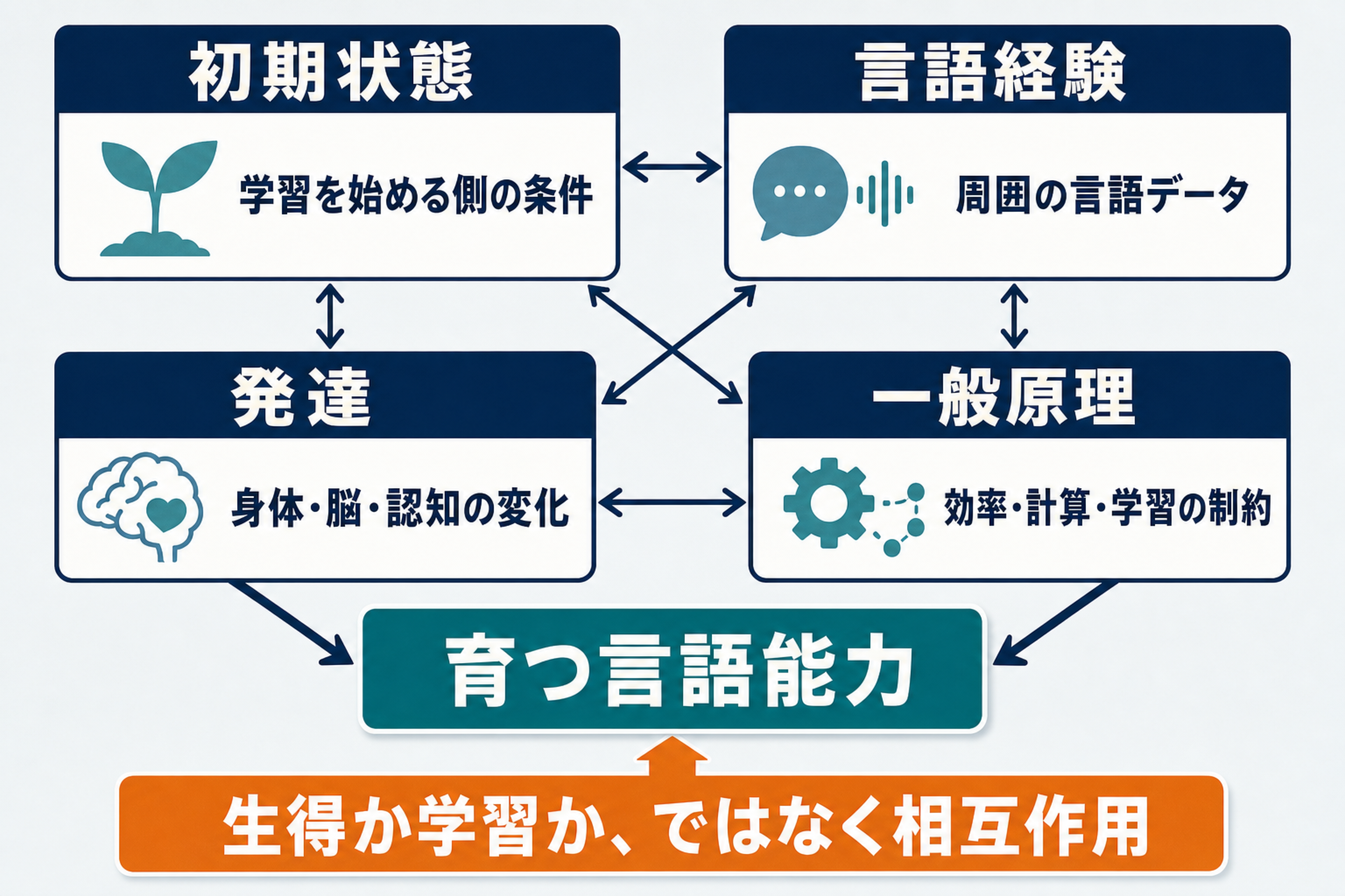 言語能力が初期状態、言語経験、発達、一般原理の相互作用で育つことを示す図