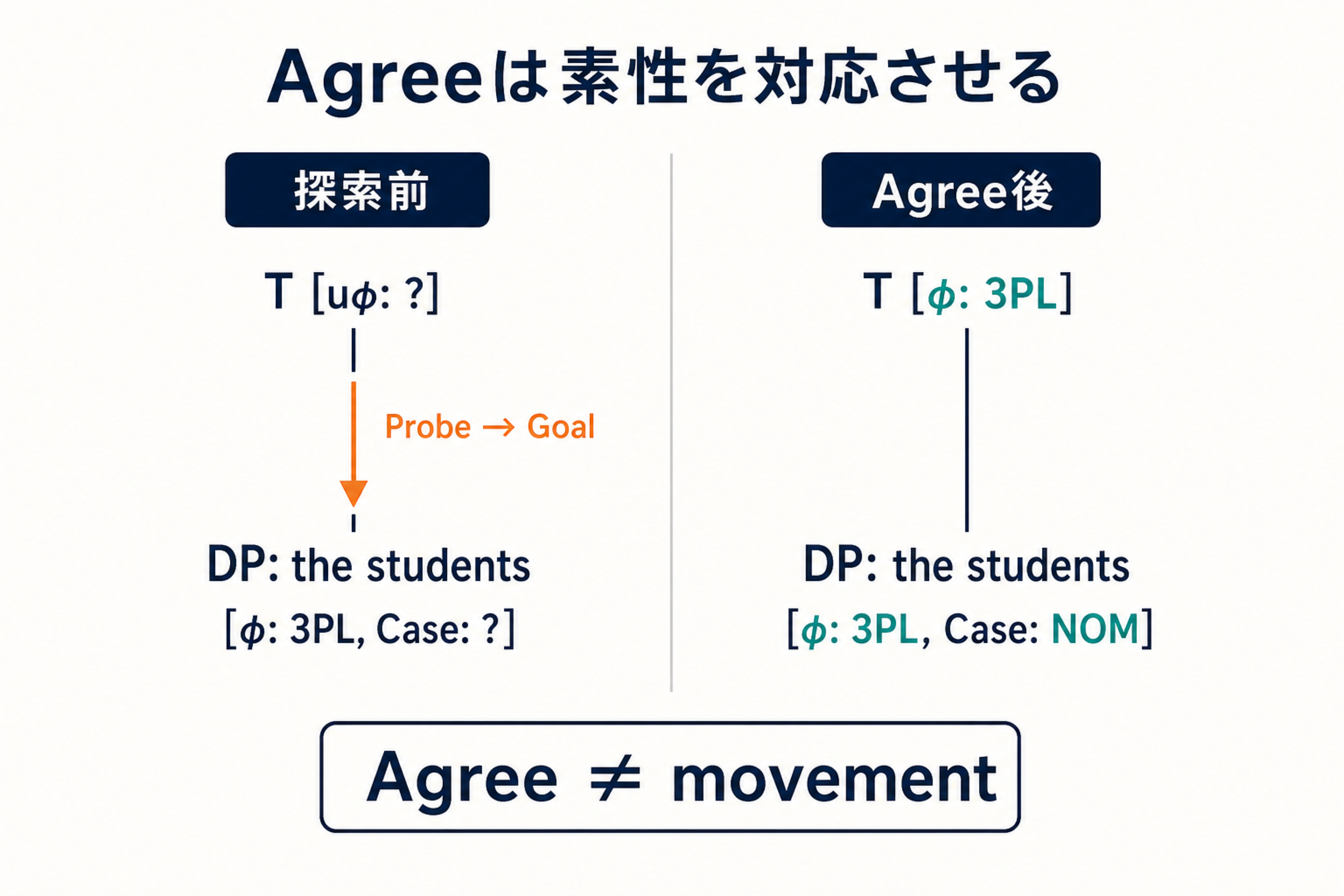 Tの未評価phi素性がProbeとして複数形の主語DPをGoalに選び、素性と格を評価するAgreeの樹形図