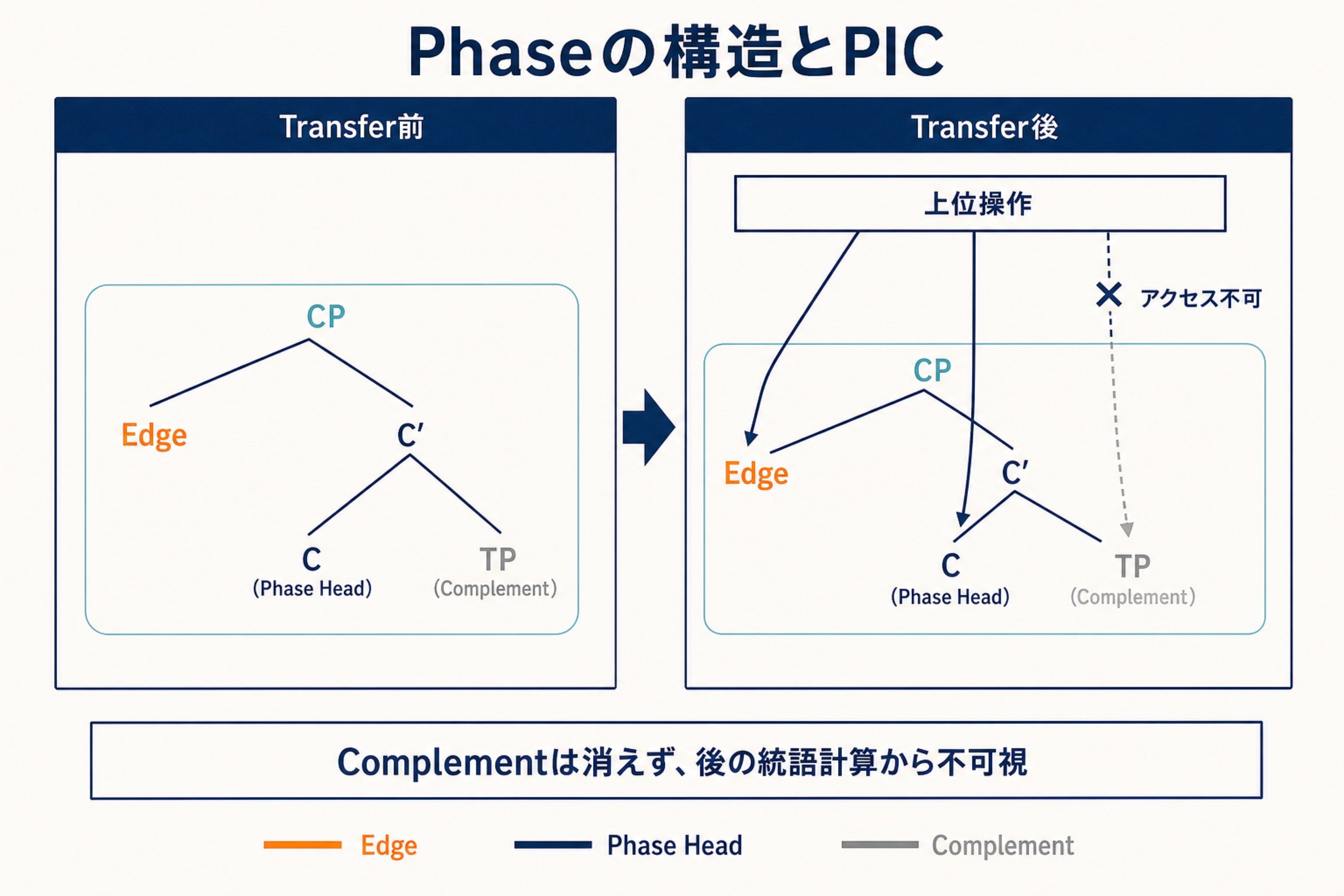 CPのPhase HeadであるC、ComplementのTP、Phase Edgeの指定部を色分けし、Transfer後のアクセス可能性を示す図