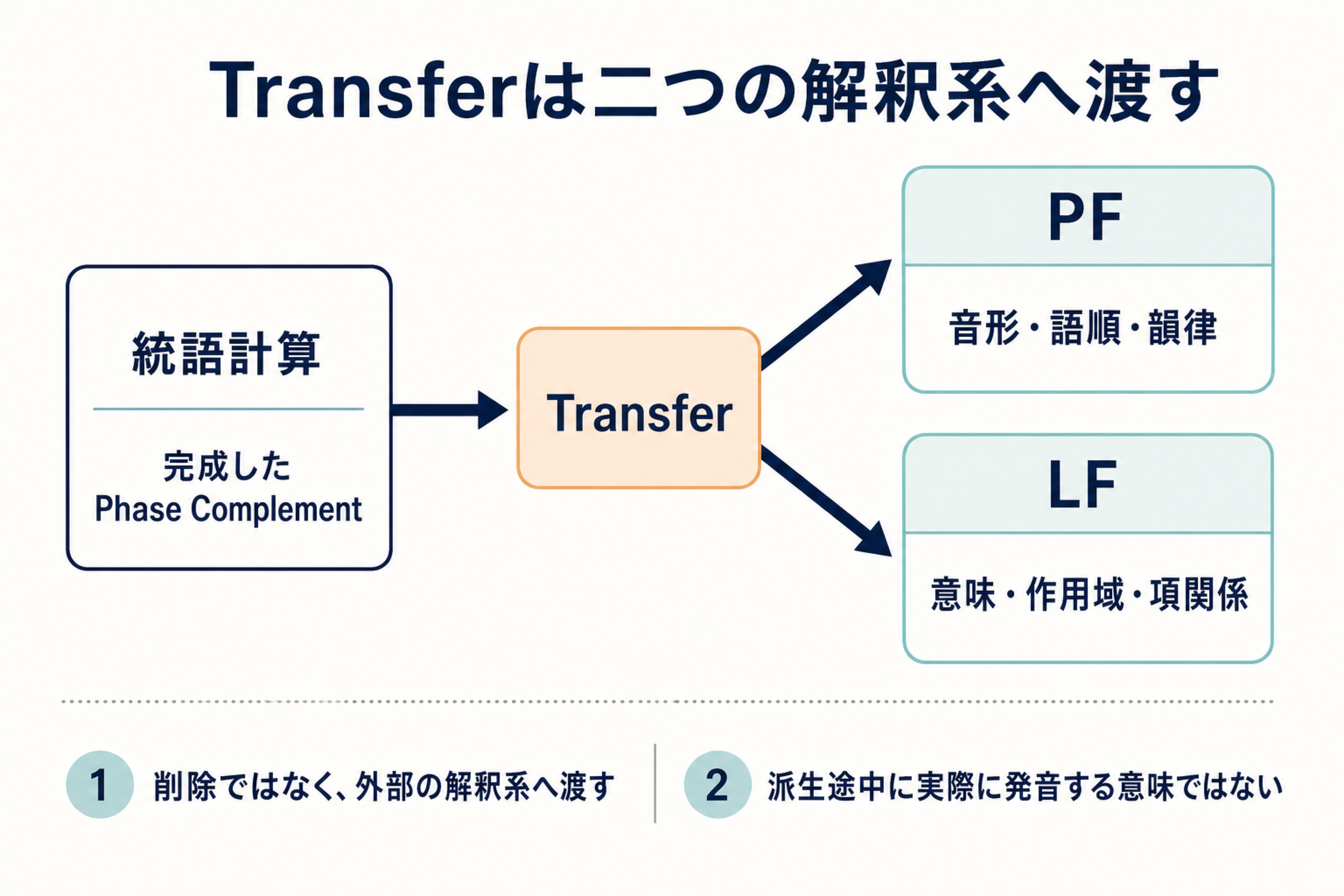 統語計算で完成したPhaseのComplementがTransferされ、PF側の音形・語順とLF側の意味・作用域へ分岐する流れ図