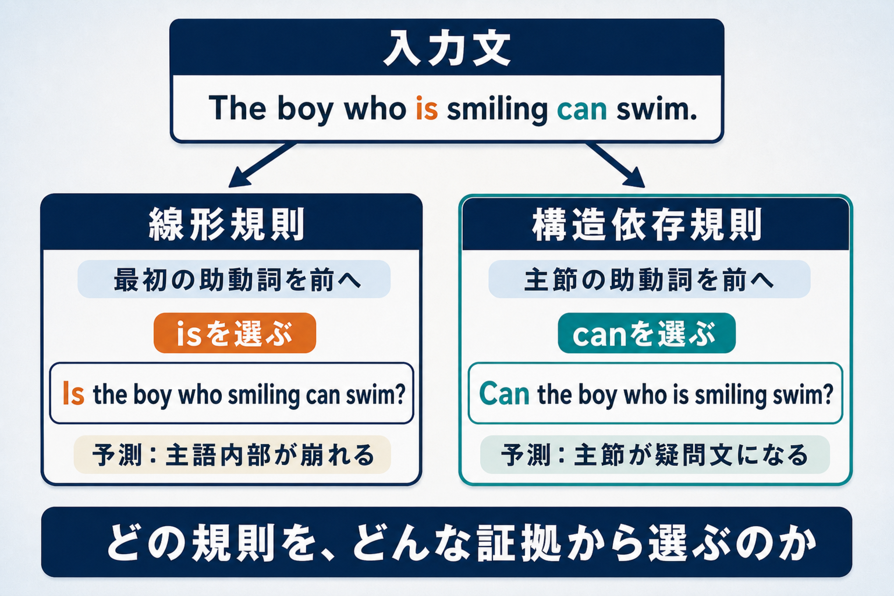 英語疑問文で最初の助動詞を前へ出す線形規則と主節の助動詞を前へ出す構造依存規則を比較する図