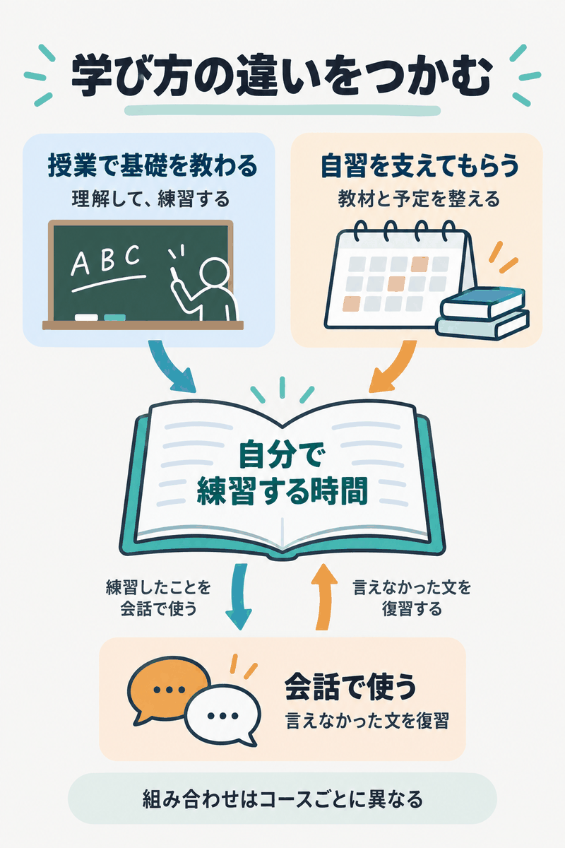 初心者向け英語コーチングの基礎授業・自習支援・会話練習の役割を整理した全体像