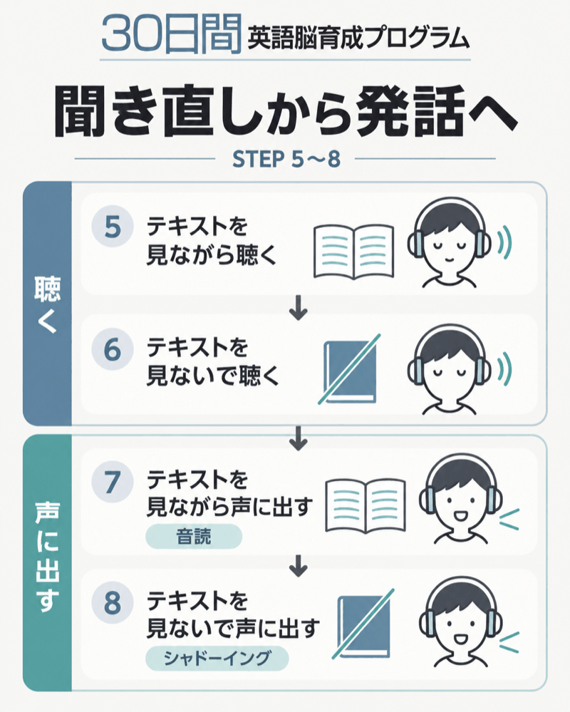 30日間英語脳育成プログラムの聞き直しから音読・シャドーイングへ進む4ステップ